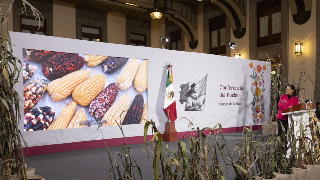 Presentan durante la conferencia matutina de la Presidenta Claudia Sheinbaum el  Plan Nacional de Maíz Nativo
