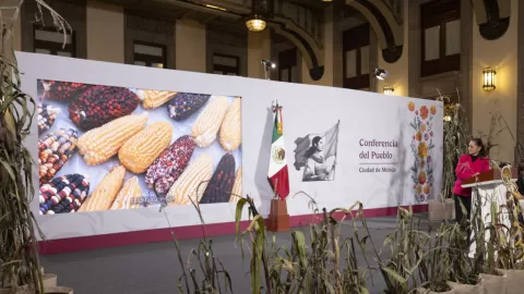 Presentan durante la conferencia matutina de la Presidenta Claudia Sheinbaum el  Plan Nacional de Maíz Nativo