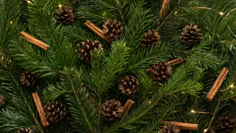 Navidad en tu Hogar: Crea un Aromatizante Natural de Pino Fácil y Económico