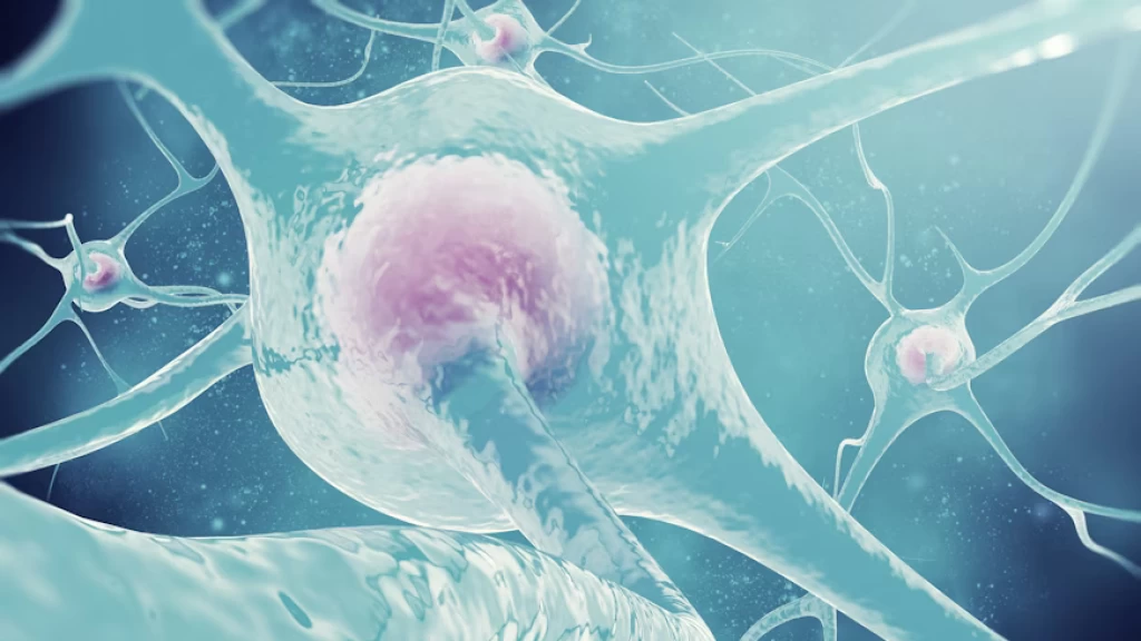 Neurotecnología: Cuando la Ciencia Ficción se Vuelve Realidad. Avances Asombrosos en Traducción de Pensamientos y Restauración de Movilidad.