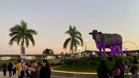 Feria Ganadera Culiacán 2025: Del 20 al 30 de Noviembre con Novedades y Gran Tradición Familiar en Sinaloa