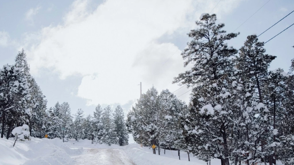México ante un Invierno Gélido: La Niña y Vórtice Polar Anuncian Frío Extremo y Heladas Históricas