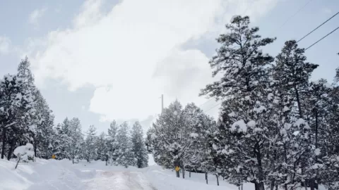 México ante un Invierno Gélido: La Niña y Vórtice Polar Anuncian Frío Extremo y Heladas Históricas