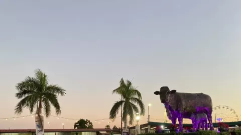 ¡Gran Regreso en Sinaloa! La Feria Ganadera 2025 Abre sus Puertas