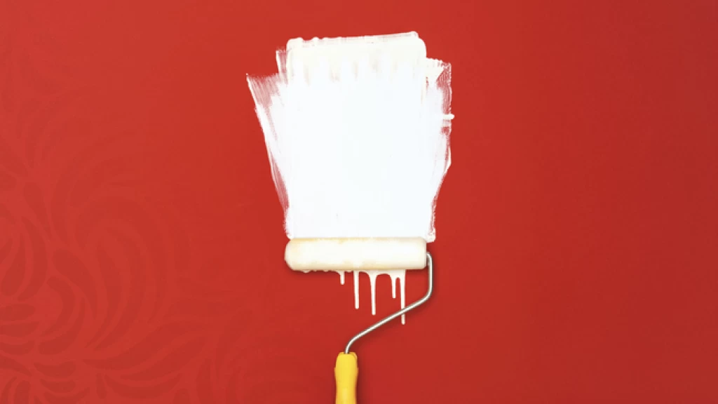 Profeco Revela: ¿Cuál Pintura Rinde MÁS y Dura MÁS? Guía Clave para Elegir tu Mejor Opción