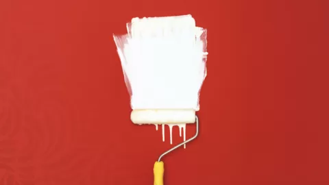 Profeco Revela: ¿Cuál Pintura Rinde MÁS y Dura MÁS? Guía Clave para Elegir tu Mejor Opción