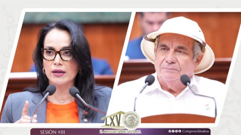 Aprueba Congreso se establezca “Código Mariposa” en hospitales públicos