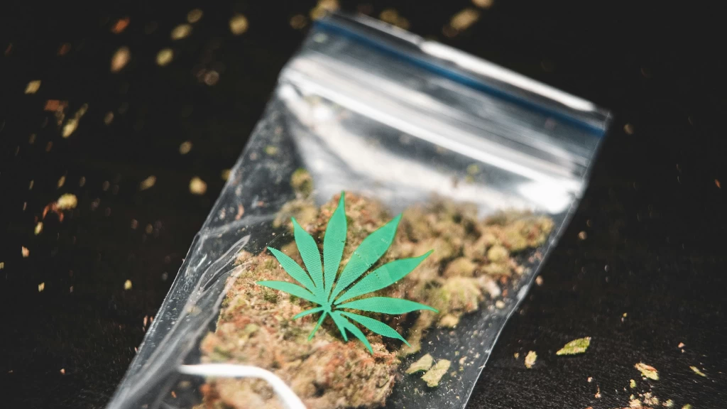 Alerta Médica Urgente: Cannabis Vinculado a Síndrome Estomacal Severo con Reconocimiento Oficial de la OMS