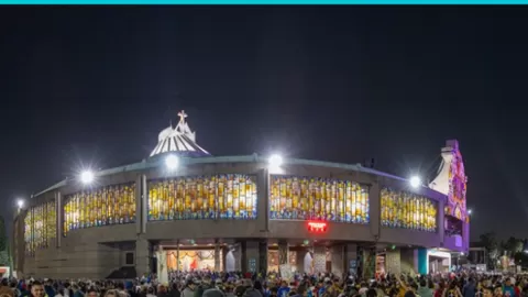 Récord Histórico: Más de 11.5 Millones de Peregrinos Arriban a la Basílica de Guadalupe en CDMX por el 494 Aniversario