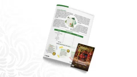 Profeco comparte planificador para evitar gastos innecesarios en las fiestas decembrinas