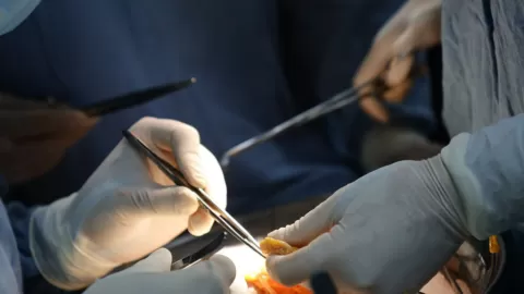 Realiza IMSS Sinaloa 31 trasplantes renales durante 2025