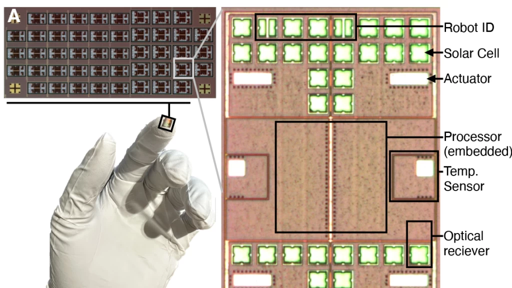 Robótica Rompe Nueva Barrera: Minúsculos Robots Autónomos del Tamaño de un Grano de Sal Transformarán Medicina y Tecnología