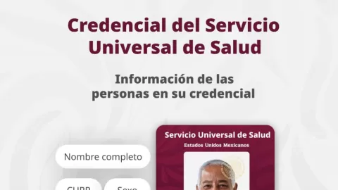 Credencial Nacional de Salud: Sheinbaum Anuncia Registro en Marzo para Acceso Universal y Versión Digital en Abril 2026