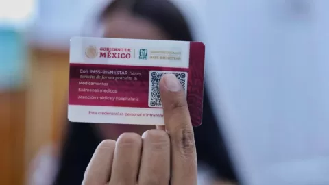 Nueva Credencial de Salud en México 2026: Documentos ESENCIALES y Fechas Clave para Garantizar tu Atención Médica Gratuita