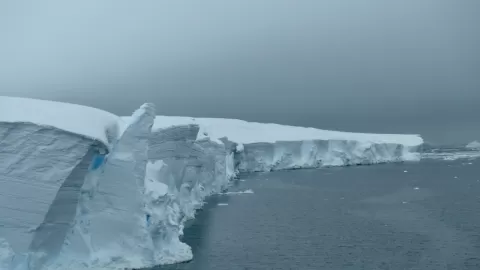 IA Desvela la Historia Completa de Cada Iceberg, Superando Límites Manuales y Potenciando la Lucha Contra el Cambio Global