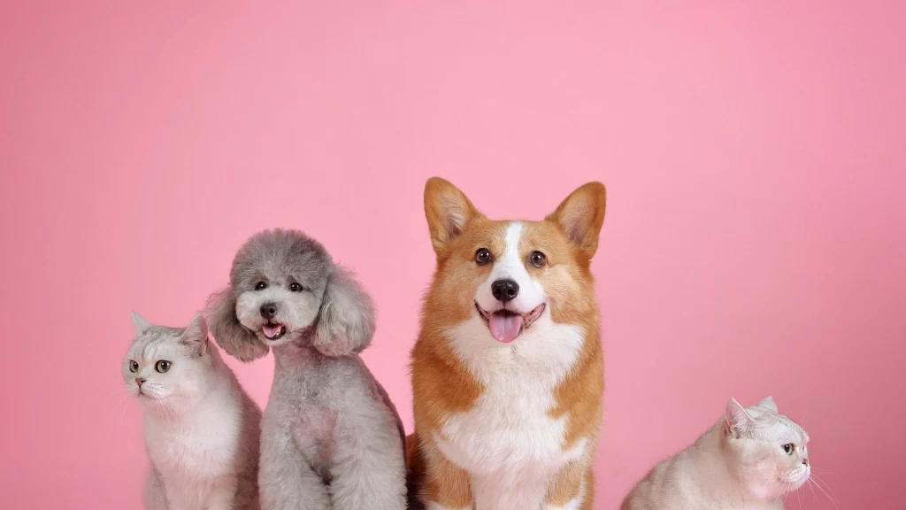 Día de Amar a tu Mascota 2026: México Impulsa Bienestar Animal y Tenencia Responsable con Nueva Ley y Conciencia Ciudadana