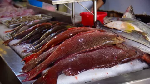 Profeco brinda consejos para la compra de productos del mar durante la Cuaresma