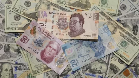 Dólar en México HOY 25 de Febrero: Ligera Baja en Tipo de Cambio en Medio de Incertidumbre Global
