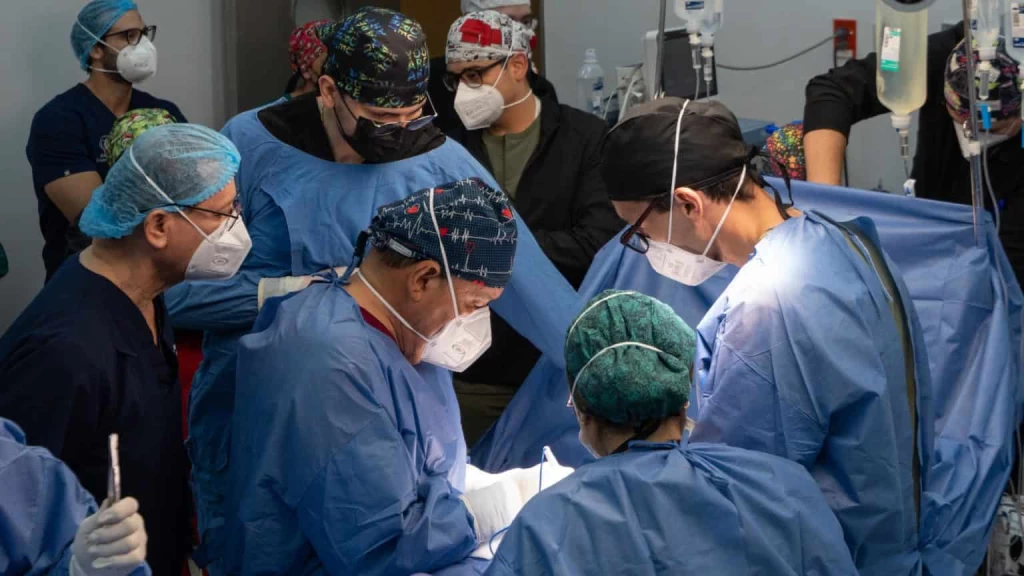 Sinaloa Lidera Recuperación de Trasplantes: Más de 50 Procedimientos en Menos de 14 Meses
