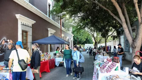 El ISIC invita a disfrutar HOY del programa semanal Paseo de las Artes