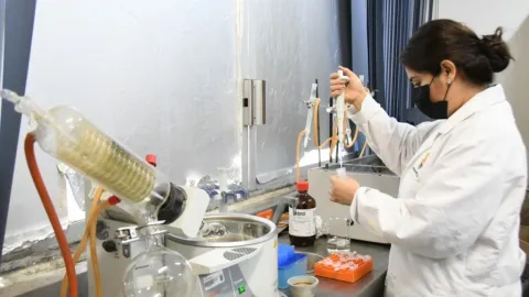 La UAS consolida su liderazgo científico: alcanza los 720 investigadores en el SNII