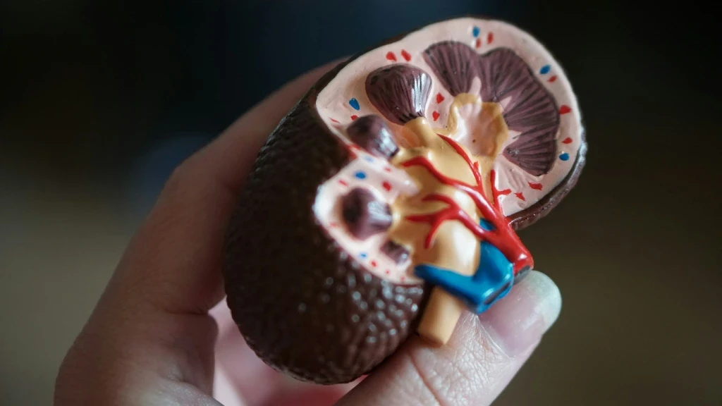Alerta en México: Enfermedad Renal Crónica, la tercera causa de muerte; Urgen prevención y detección temprana en Foro UNAM 2026