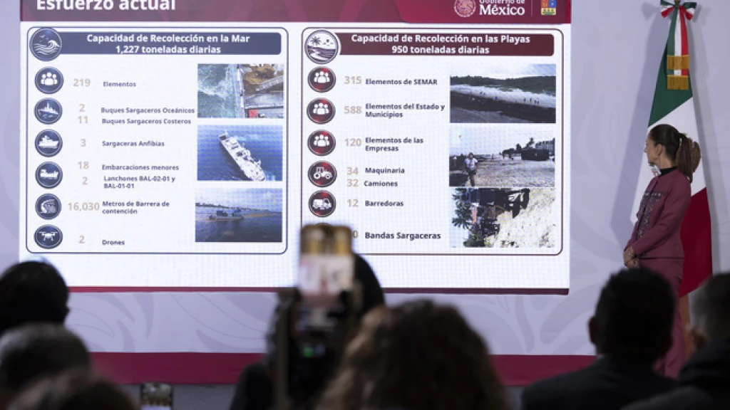 México Lanza Inversión de 115 Millones de Dólares para Frenar Arribo de Sargazo en el Caribe Mexicano