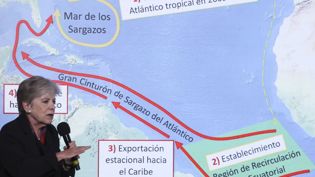 México Lanza Inversión de 115 Millones de Dólares para Frenar Arribo de Sargazo en el Caribe Mexicano