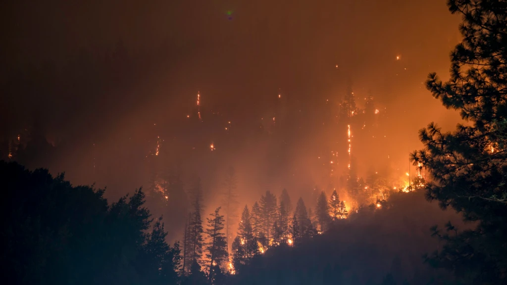 Crisis Climática en Europa: Incendios Devastan Francia, Grecia y Portugal
