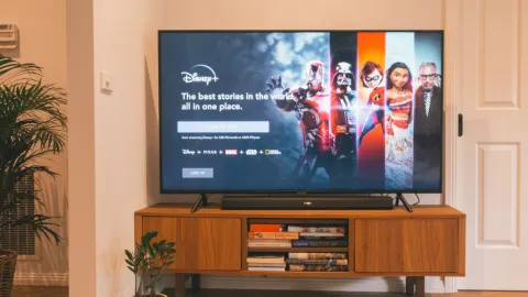 Disney+ en Agosto 2026: Todos los Estrenos Confirmados de Series, Películas y Documentales para Disfrutar el Mes Completo