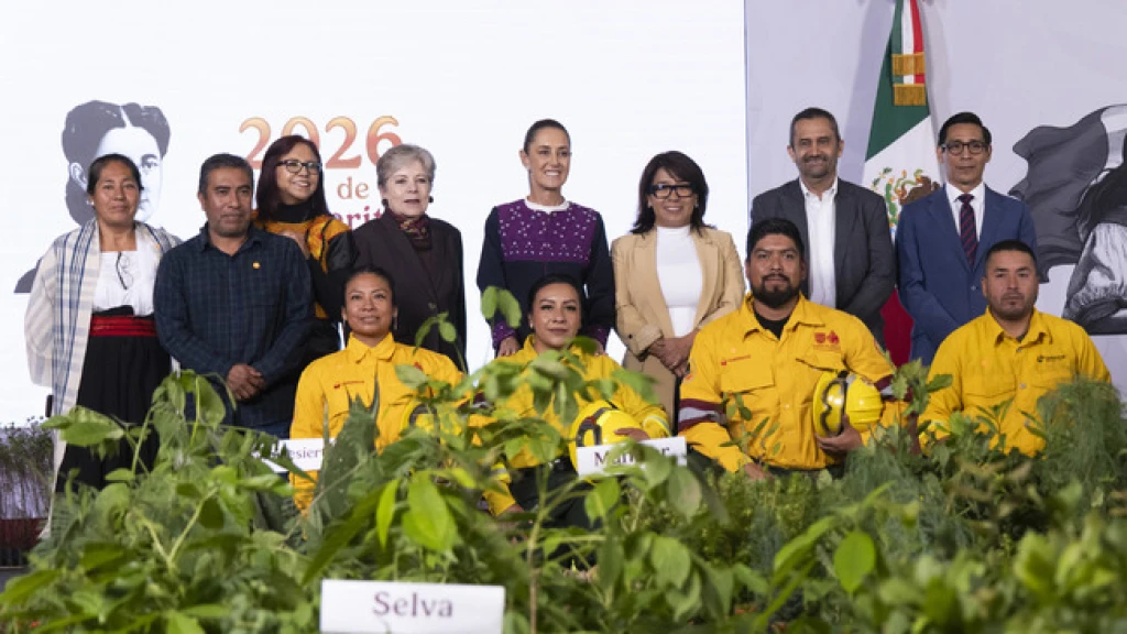 Presidenta presenta la Jornada Nacional de Reforestación 2026
