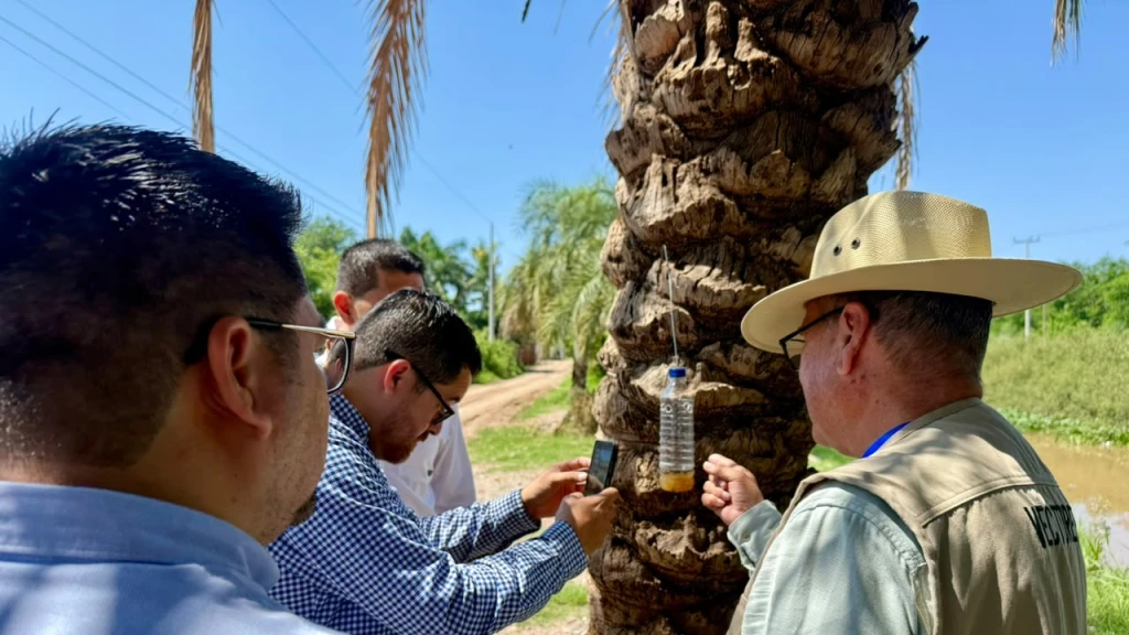 Salud Sinaloa refuerza trabajo de campo para prevenir riesgos asociados al gusano barrenador