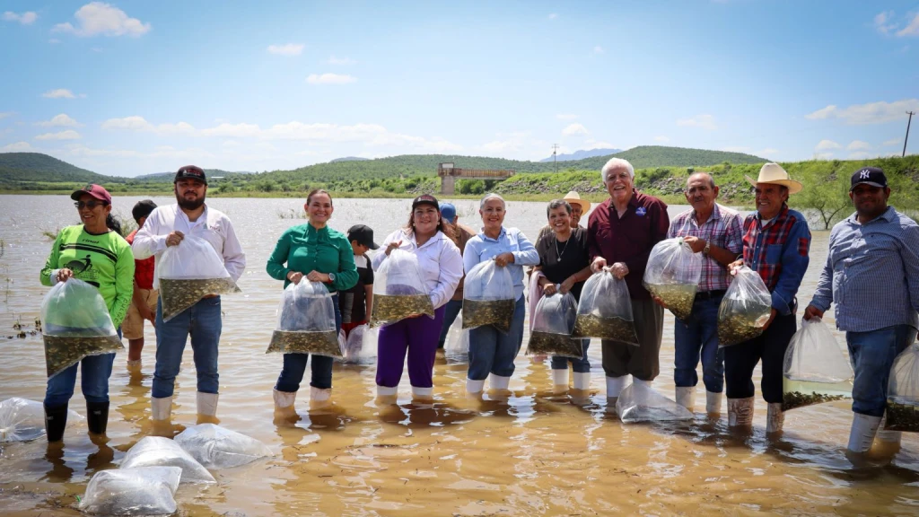 Sinaloa Repuebla Presa Eustaquio Buelna con 800,000 Alevines para Fortalecer la Pesca y Beneficiar a Familias