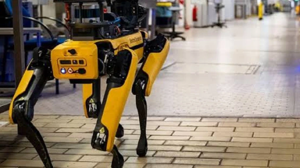 ICE de EE. UU. Destina $2 Millones a Perros Robot para Reforzar la Vigilancia Fronteriza con México