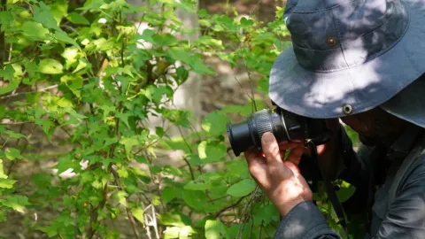 Científicos reportan una nueva especie de planta para la ciencia en la Meseta de Cacaxtla en Sinaloa