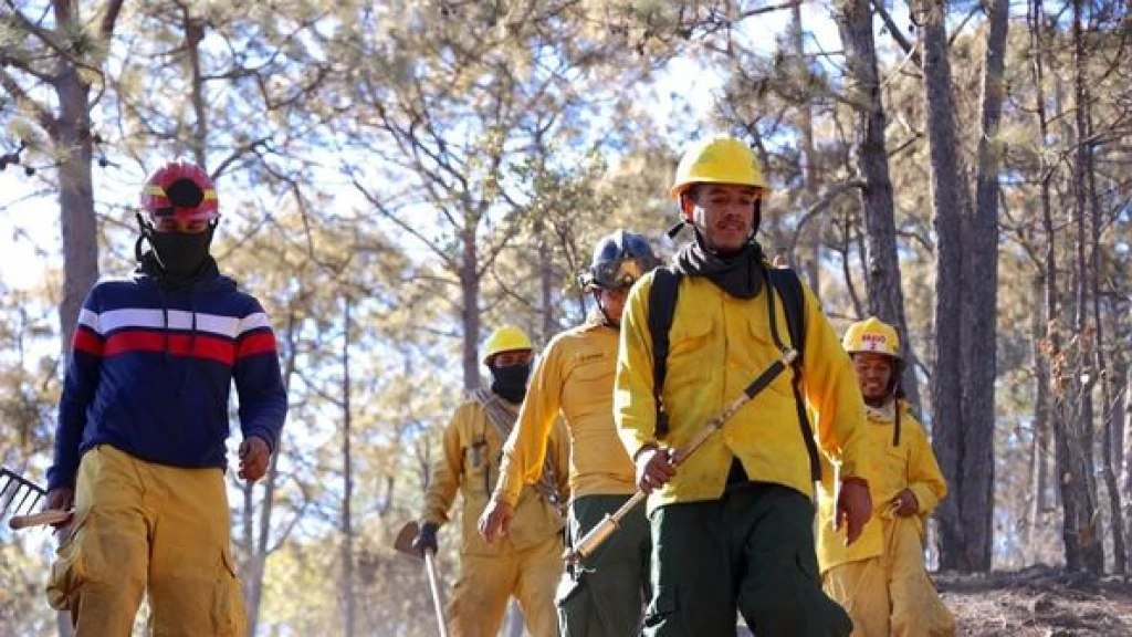 Plantean incluir y definir el concepto de bomberas y bomberos en la Ley General de Protección Civil