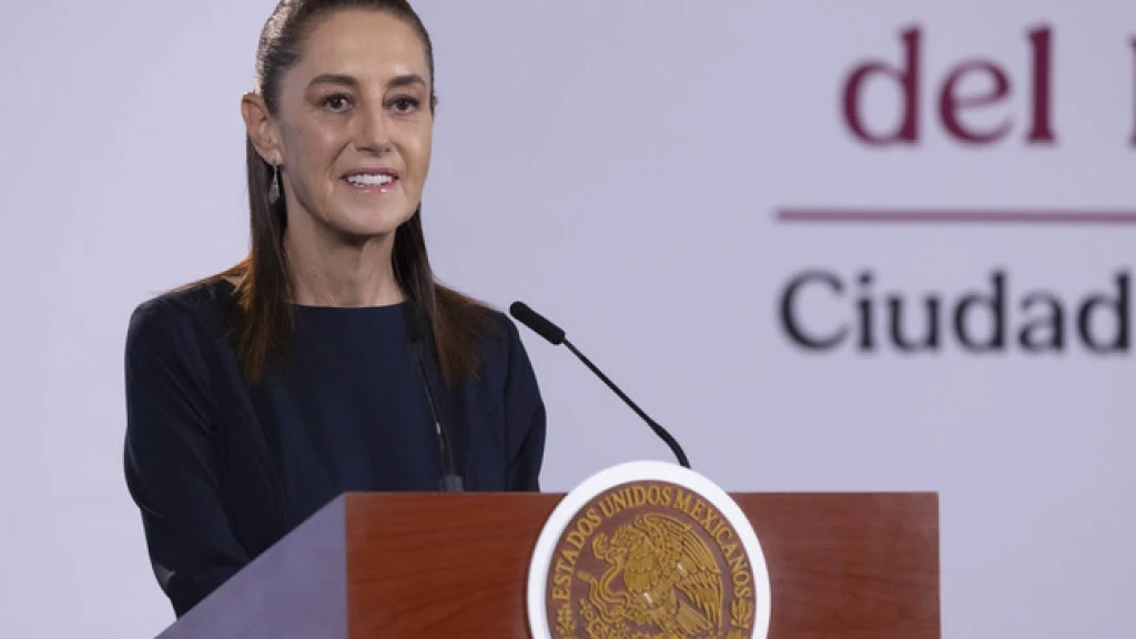 Presidenta anuncia grupo de trabajo para que plataformas digitales eliminen y prohíban contenidos violentos