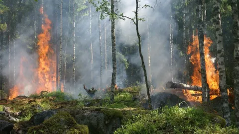 Proponen reformas para garantizar la reparación y compensación del daño ambiental