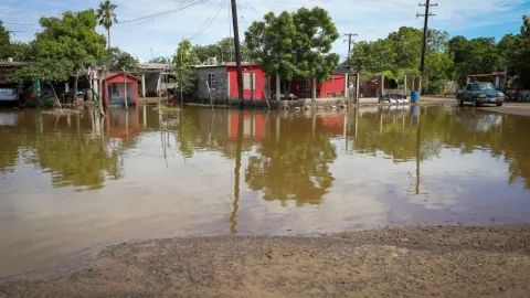 Sinaloa Refuerza Vigilancia Epidemiológica Tras Inundaciones: Salud Activa Fase para Prevenir Brotes en Comunidades Costeras