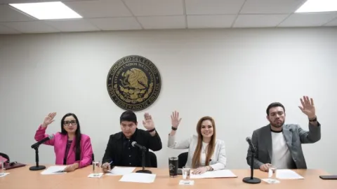 Aprueban elección de Aldo Ruiz para integrarse al Consejo Consultivo del Instituto para la Protección de Personas Defensoras de Derechos Humanos y Periodistas