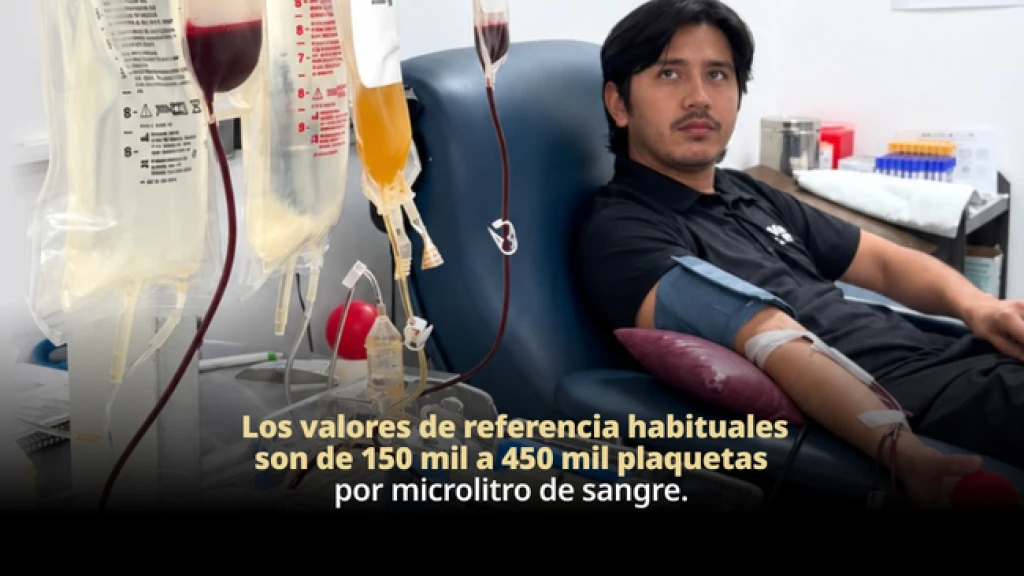 Donación de plaquetas permite obtener componentes sanguíneos mediante un procedimiento seguro
