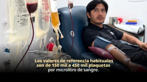 Donación de plaquetas permite obtener componentes sanguíneos mediante un procedimiento seguro