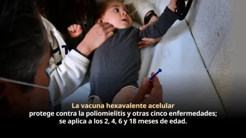Vacunación pieza fundamental para prevenir la poliomielitis