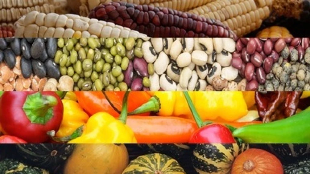 Profeco enseña a “Consuminis” ventajas que ofrecen frutas, verduras y legumbres de temporada
