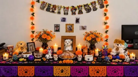 Día de Muertos de las Mascotas 2026: México Honra a sus Fieles Compañeros el 27 de Octubre